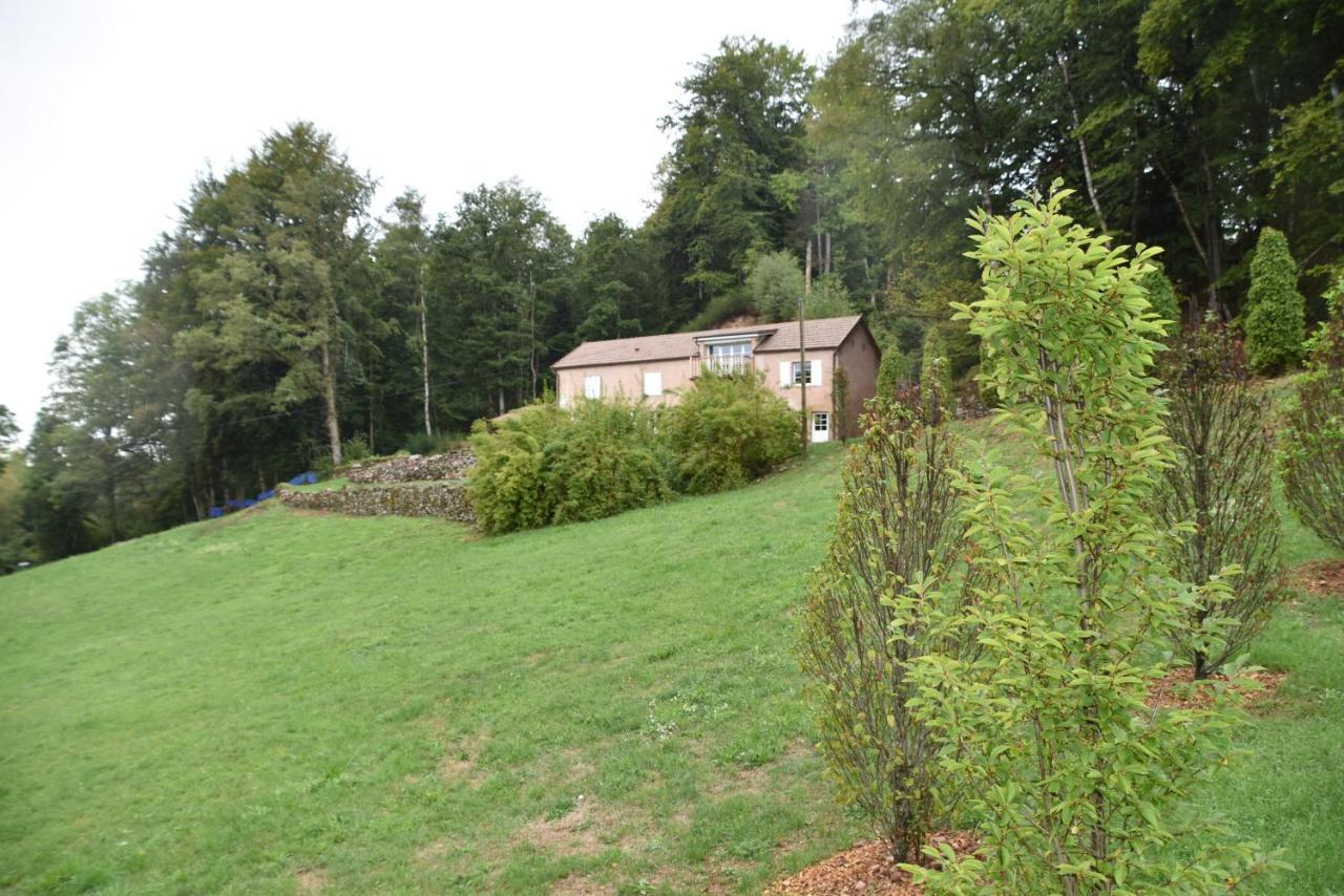 Gite Du Bois Des Hauts Les Mille Etangs La Lanterne-et-les-Armonts Exterior photo